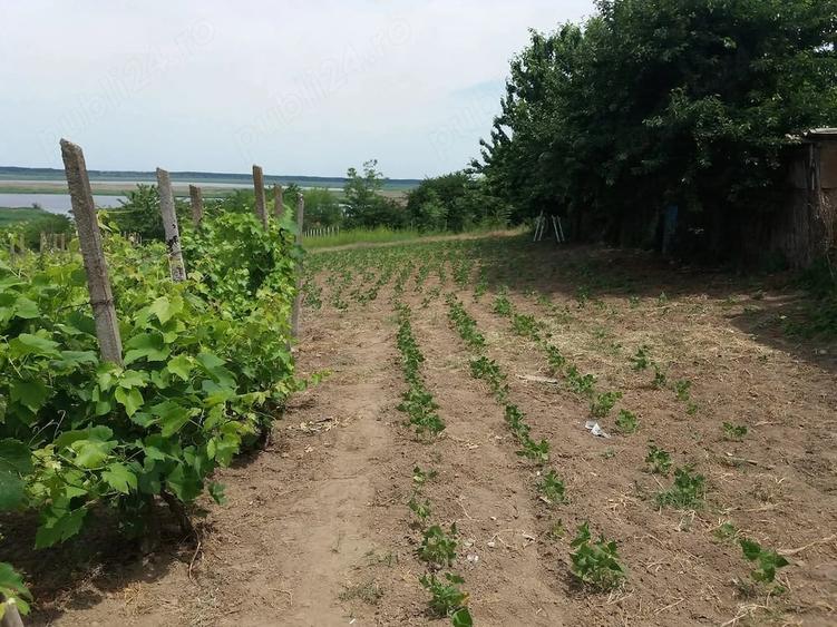 Teren de 3200 mp, în Somova