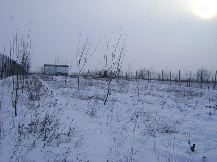 Teren de 3000 mp, în Milcov