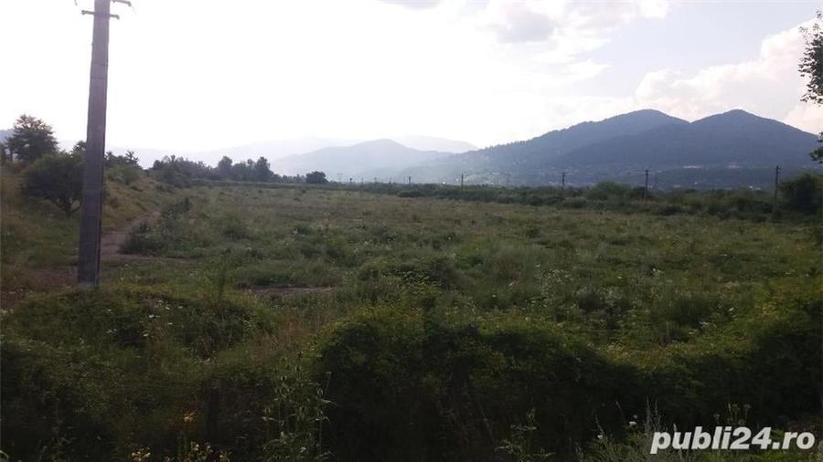 Teren de 1000 mp, în Central