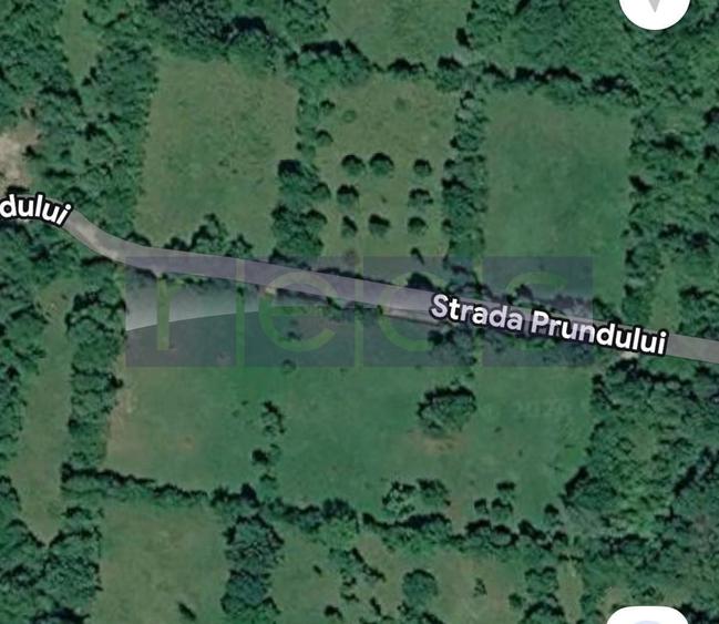 Teren Construcții de 2200 mp, în Teșila