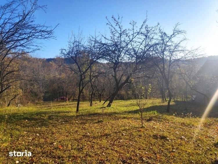 Teren de 1427 mp, în Moțăieni