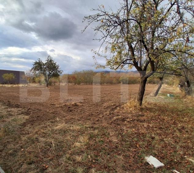 Casă individuală cu 3 camere cu Teren 4706 Mp în Polovragi
