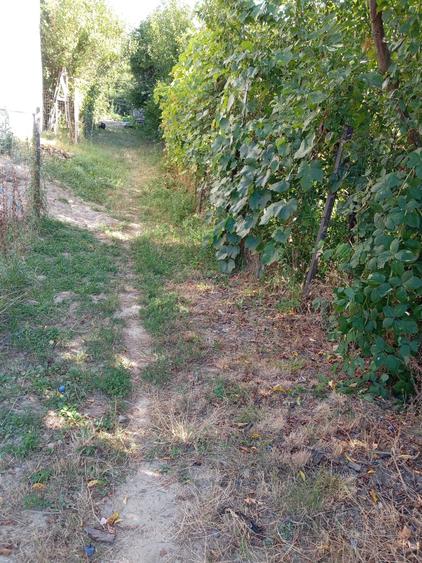 Casă cu 3 camere în Dumitreștii Gălății