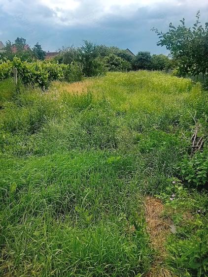 Casă cu Teren 713 Mp în Hăghig