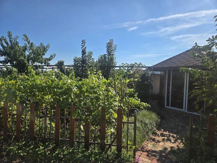 Casă cu Teren 750 Mp în Pleșești (Berca)