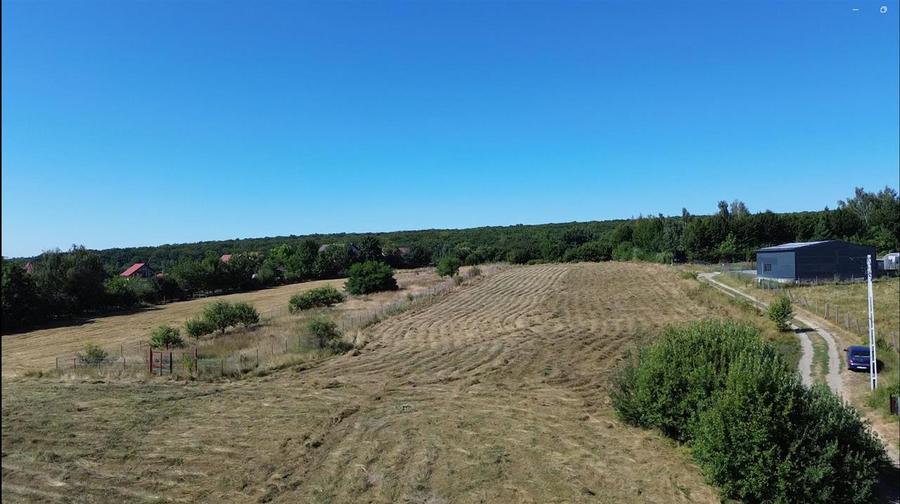 Teren Construcții intravilan de 6200 mp, în Mitocu Dragomirnei