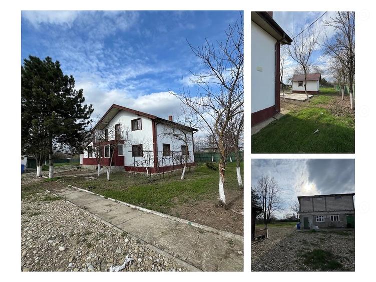 Casă cu Teren 4044 Mp în Drăgoești
