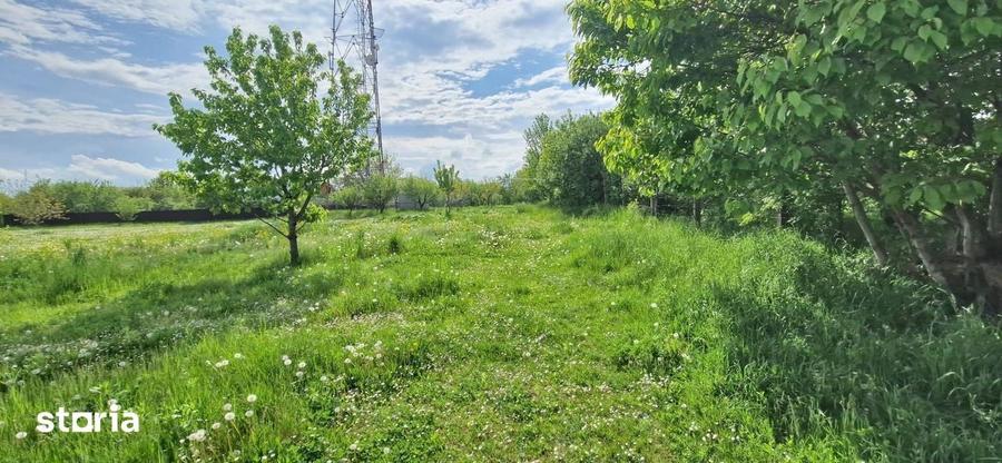 Teren de 5991 mp, în Fălticeni