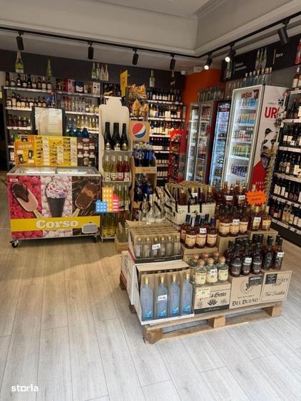 Inchirieri Spatii Comerciale Titulescu - 6