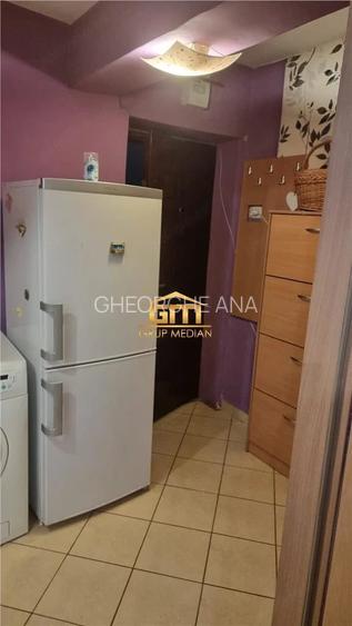 Apartament 2 camere, parter, mobilat - Petri #537;or
