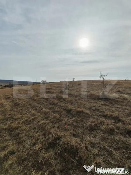 Teren în Moldovenești