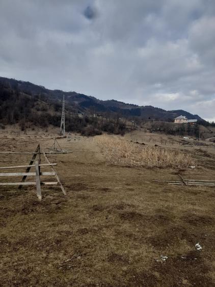 Spațiu comercial, în Cormaia