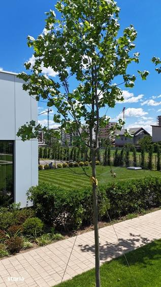2 camere | Parc 6.000 mp | AC inclus | West Gate - 4
