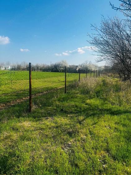 Teren de 1000 mp, în Potârnichea
