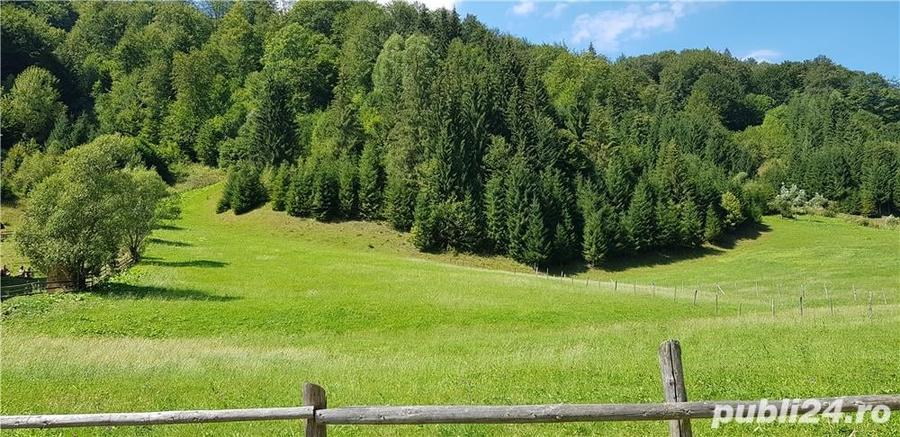 Teren de 6123 mp, în Rucăr