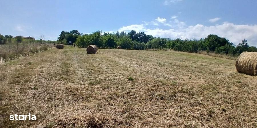 Casa in Comsesti cu teren intravilan 1800mp, acces bun - 15