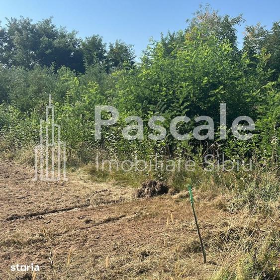 Teren intravilan de vanzare - Valea Avrigului - jud. Sibiu - 1