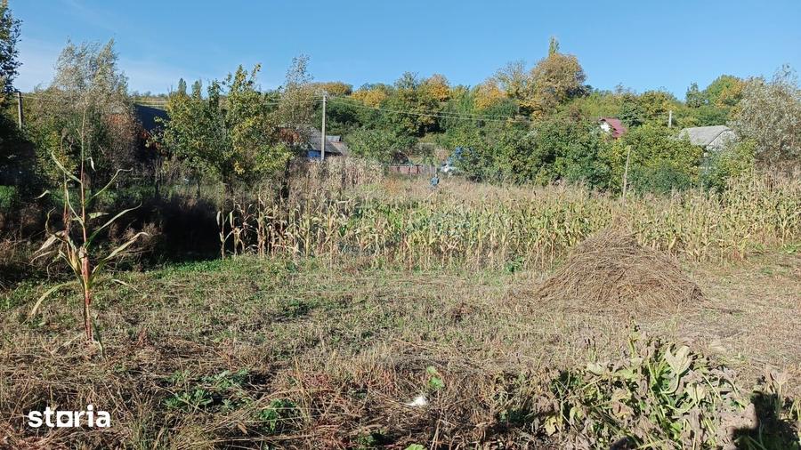 Teren de 3400 mp, în Horodnic