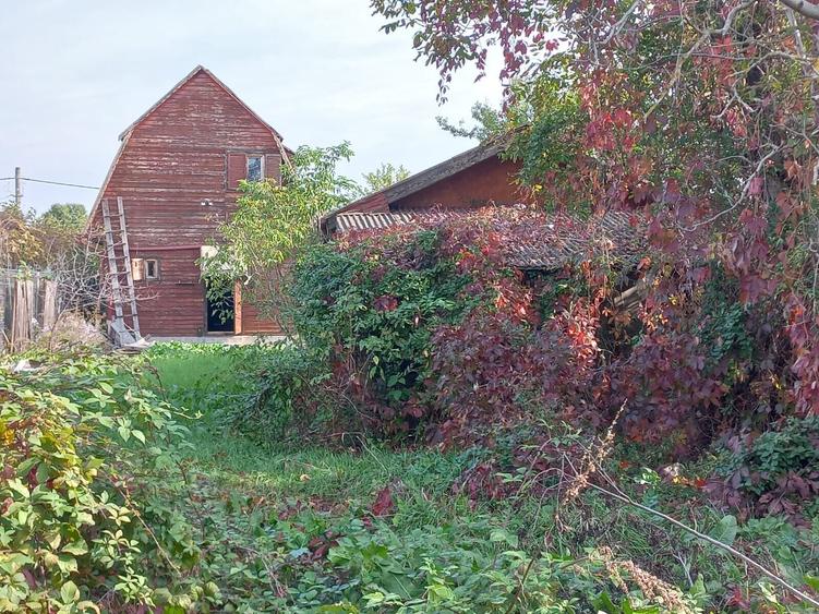 Teren Construcții intravilan de 2000 mp, în Ghermănești