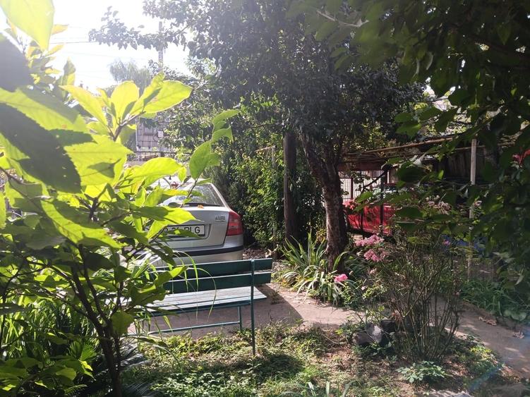 Casă cu 3 camere cu Teren 317 Mp în Colentina