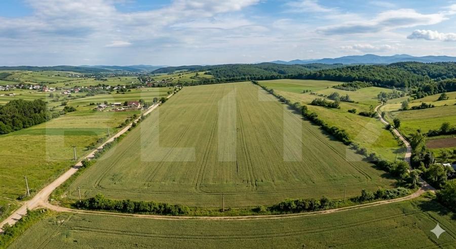 Teren agricol extravilan de 52400 mp, în Periferie