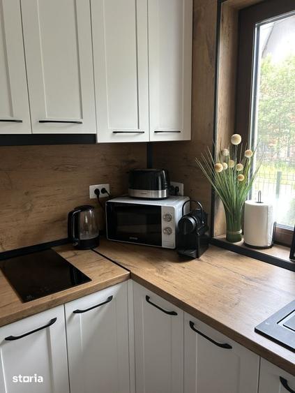 Apartament Lux &Business la cheie: cu vedere la munte, curte, foisor s - 14