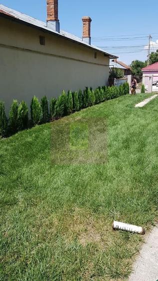 Casă cu 5 camere în Berceni