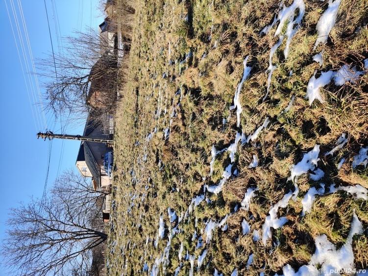 Teren de 1253 mp, în Remecioara