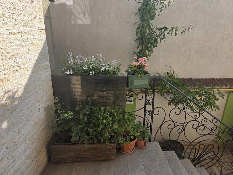 Apartament Bazilescu - 2