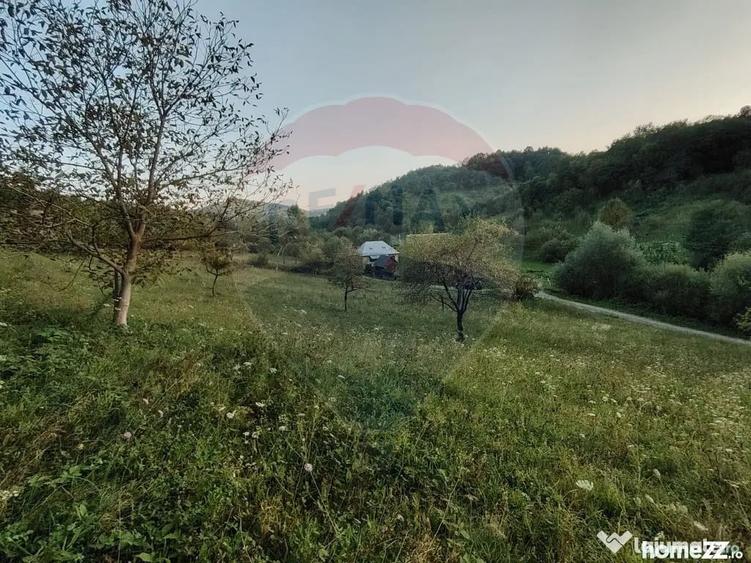Teren în Bârsana