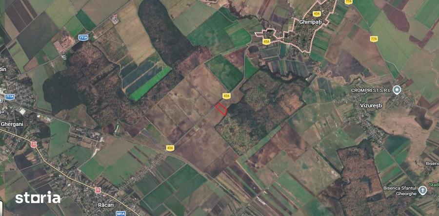 Teren de 9600 mp, în Niculești