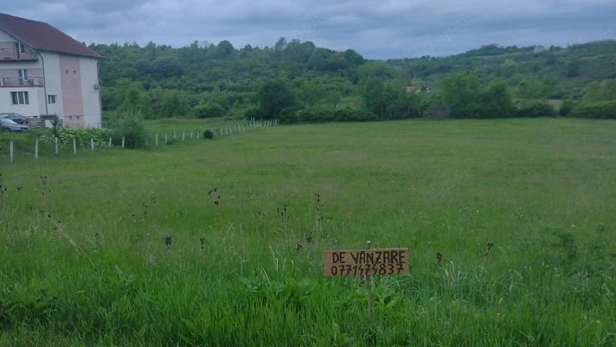 Teren de 4441 mp, în Sânmartin