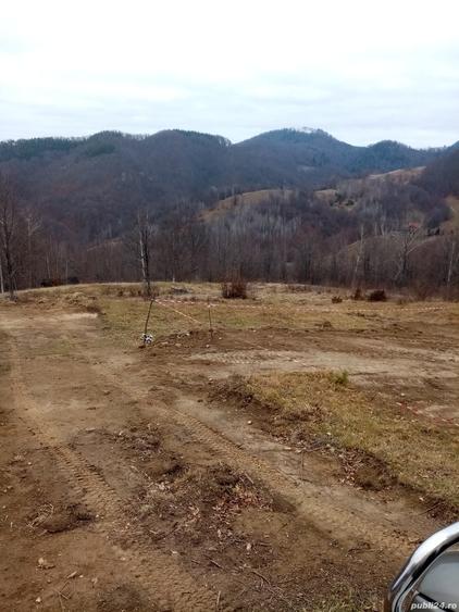 Teren de 10000 mp, în Lepșa