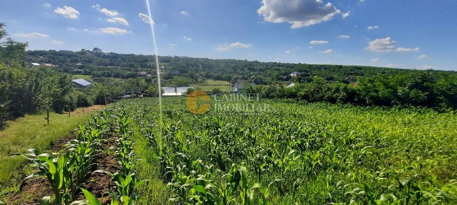 🏡 CASA  + Teren Intravilan 3000 mp , Totoești,Podu Iloaiei - 37.000 Euro 💰 - 16
