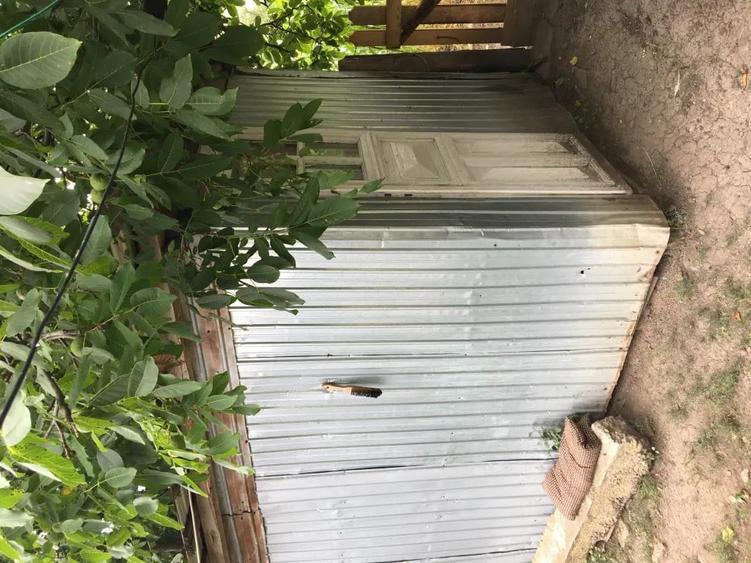 Casă cu 5 camere în Viișoara