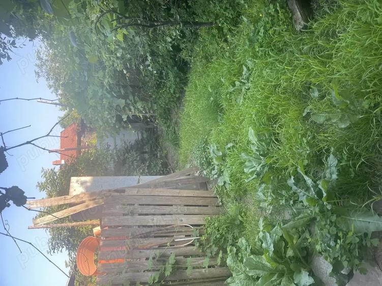 Casă cu 4 camere cu Teren 503 Mp în Târgu Ocna