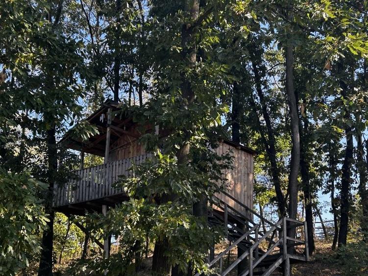Casă cu 4 camere în Albota