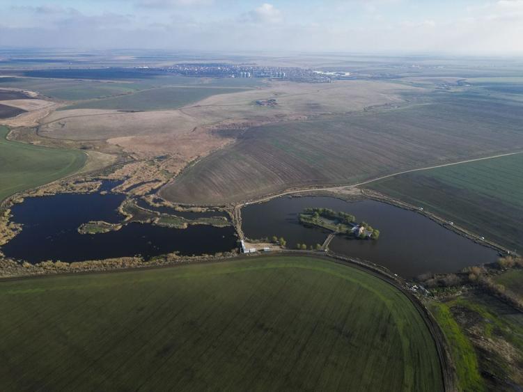 Teren agricol extravilan de 61200 mp, în Orțișoara