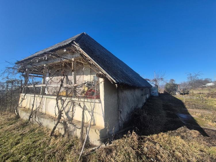 Casa si teren com Zanesti - 7