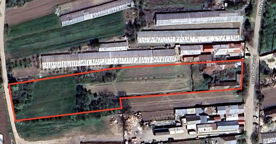 Teren Construcții intravilan de 500 mp, în Comana