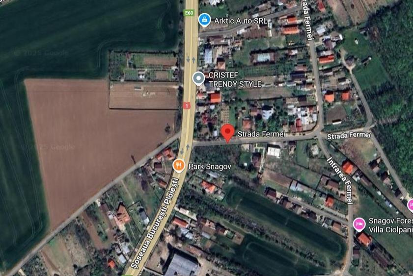 Teren Construcții intravilan de 4800 mp, în Ciolpani
