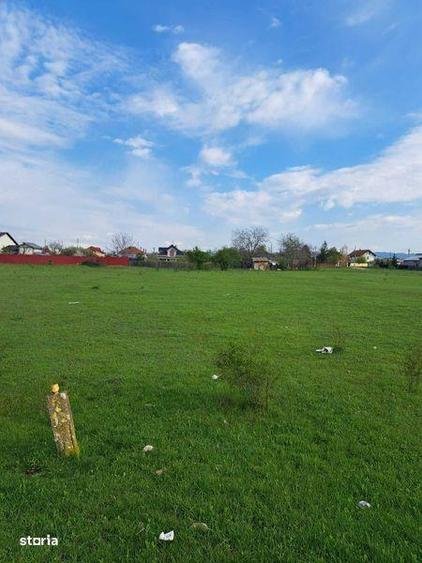 Teren de 5000 mp, în Florești