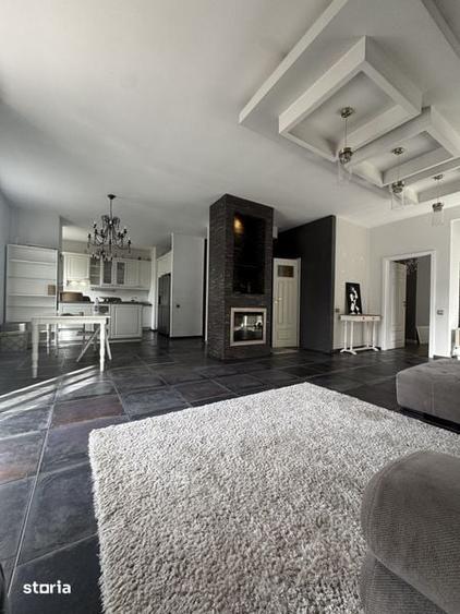 Apartament 3 camere 160mp+curte 150mp Erou Iancu Nicolae - 4