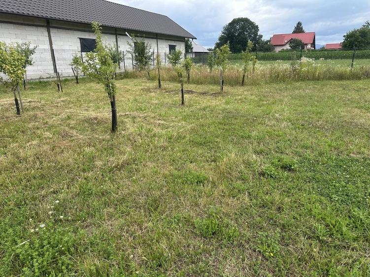 Teren de Vanzare Intravilan - 4