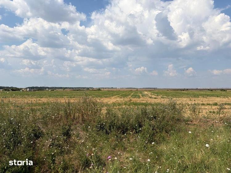Teren de 12000 mp, în Cârcea