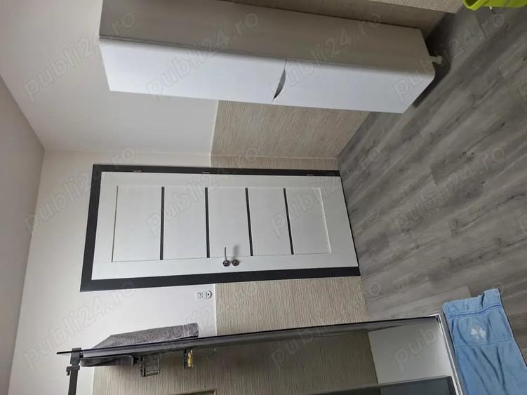 Apartament cu 2 camere decomandat în Turnișor