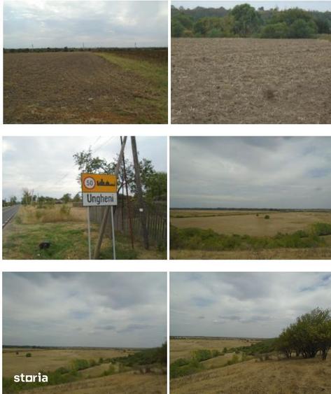 Teren de 5000 mp, în Ungheni