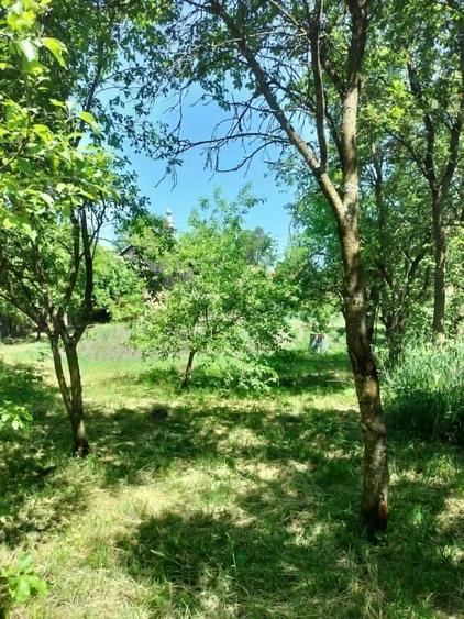 Casă cu 4 camere cu Teren 2418 Mp în Dumbrava