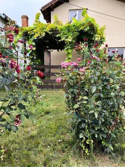 Casă cu 2 camere cu Teren 690 Mp în Bâldana
