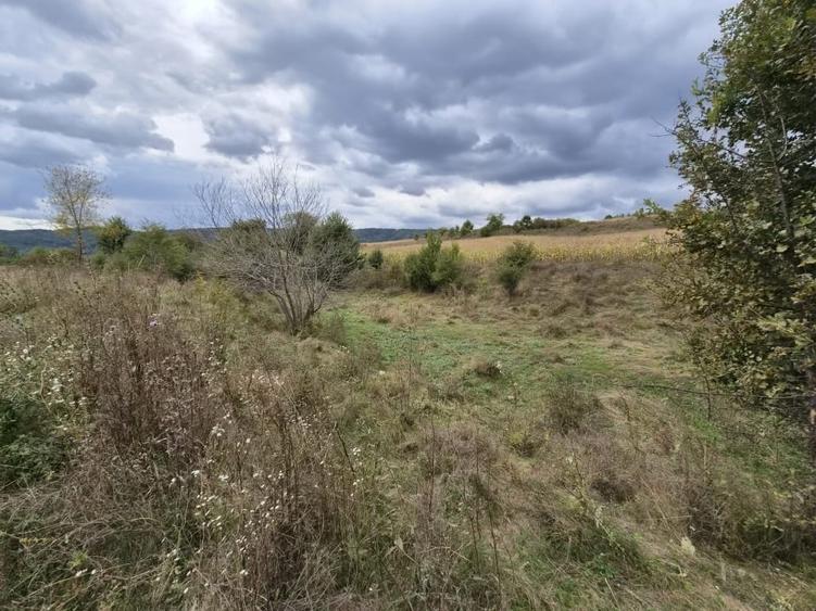 Teren Construcții intravilan de 40000 mp, în Mihăești